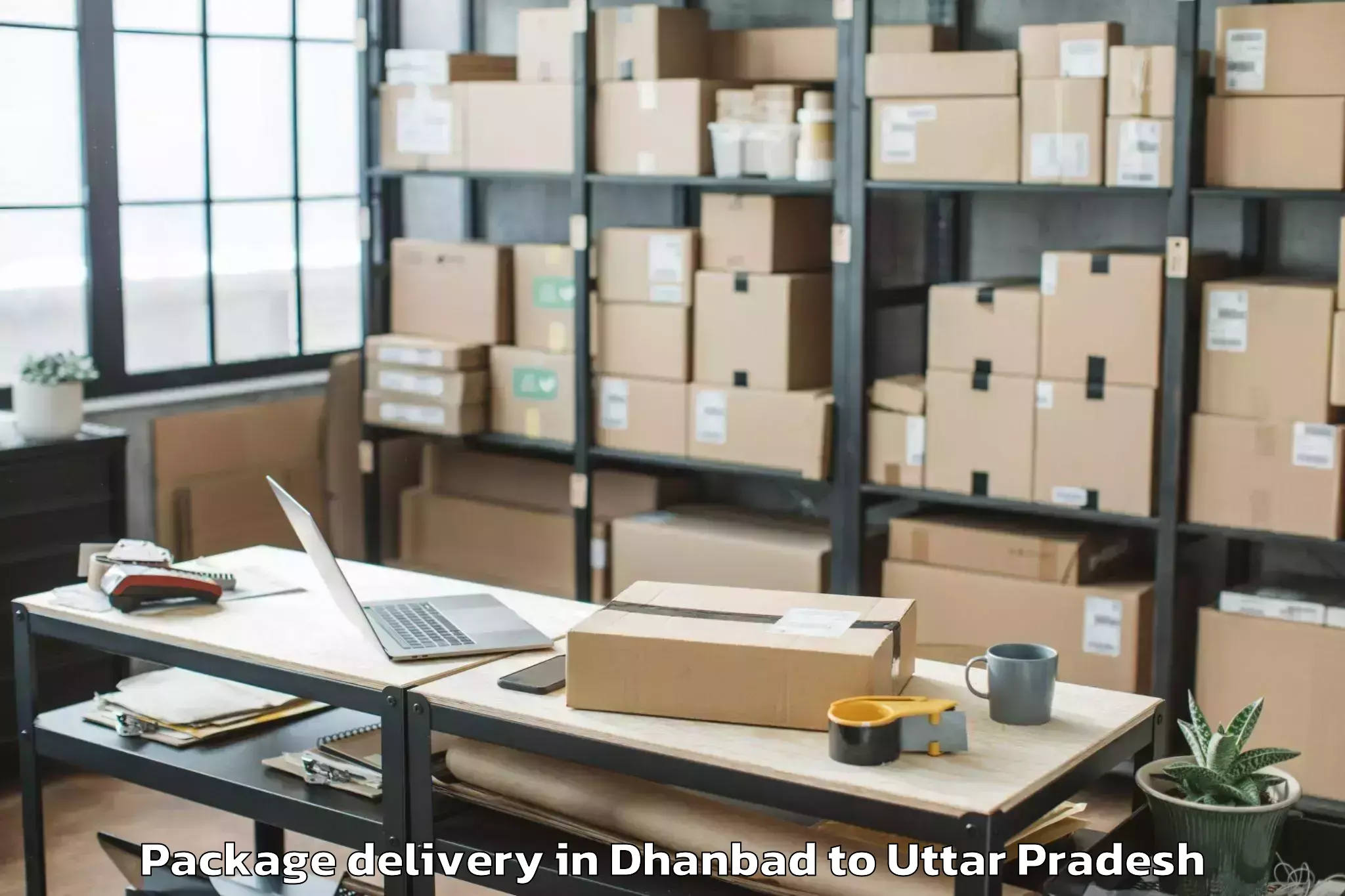 Reliable Dhanbad to Biswan Package Delivery